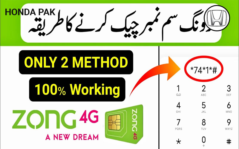 How to Check Zong Number - Find Zong Number