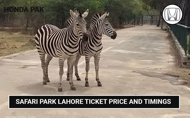 Safari Park Lahore Ticket Price and Timings 2025